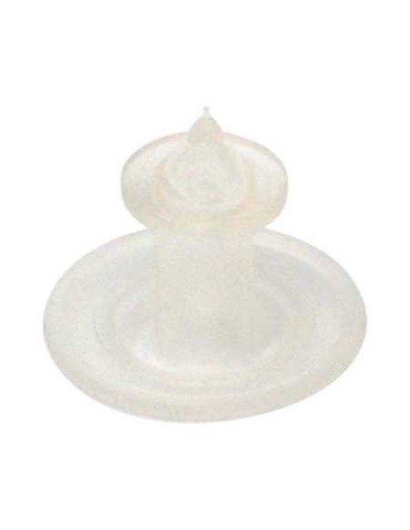 Hot Water Solenoid Valve D306