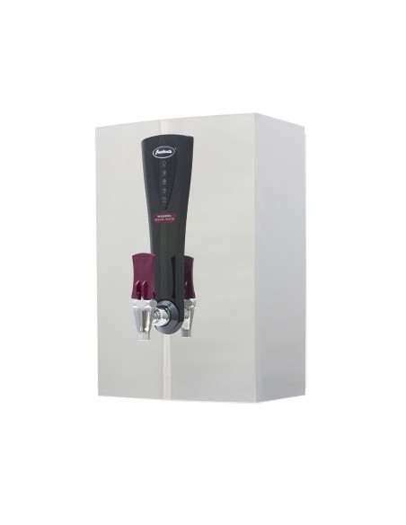 WA5N Wall Mounted Boiler Stainless Steel WMS5